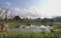 貴州關嶺：新春打卡近郊遊 草莓園裏採摘樂