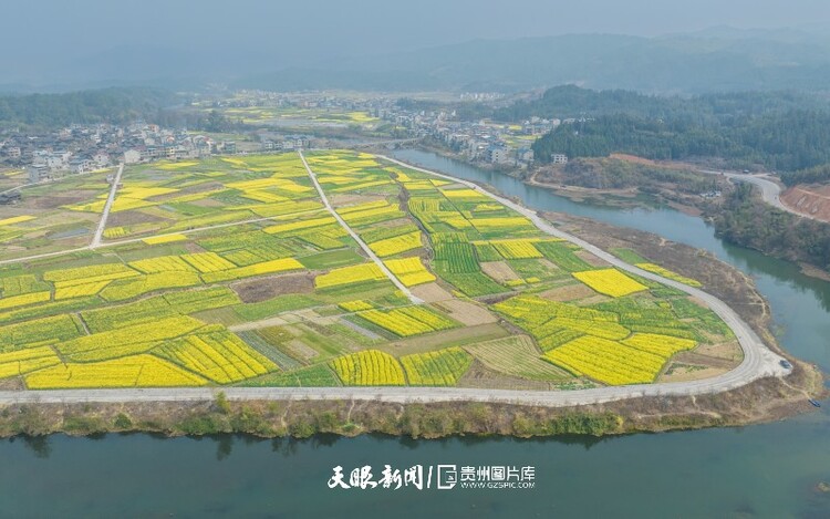 通往春天的路上 領略貴州最美風景線