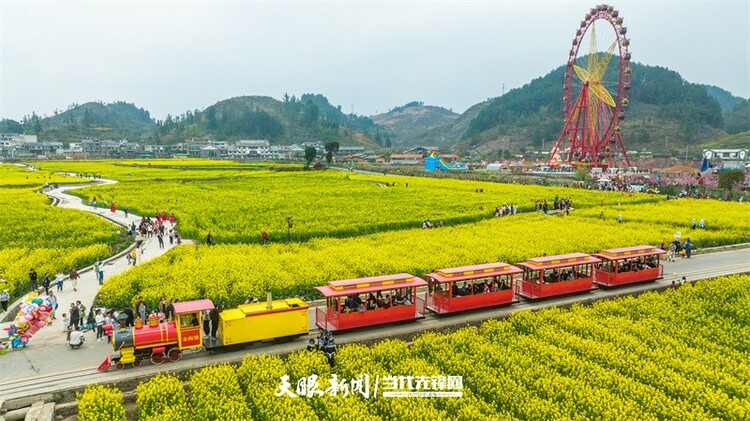 黔南貴定：金海雪山花開醉 賞春又遇好風光
