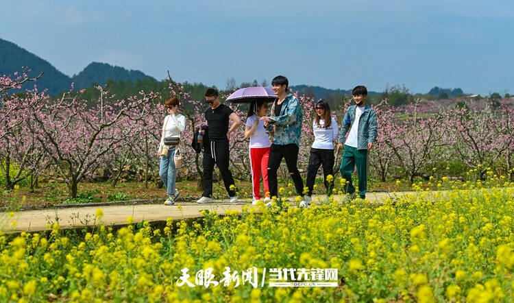 貴陽永樂：灼灼桃花笑春風_fororder_微信圖片_20230324082449