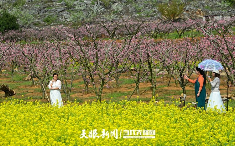 貴陽永樂：灼灼桃花笑春風_fororder_微信圖片_20230324082454