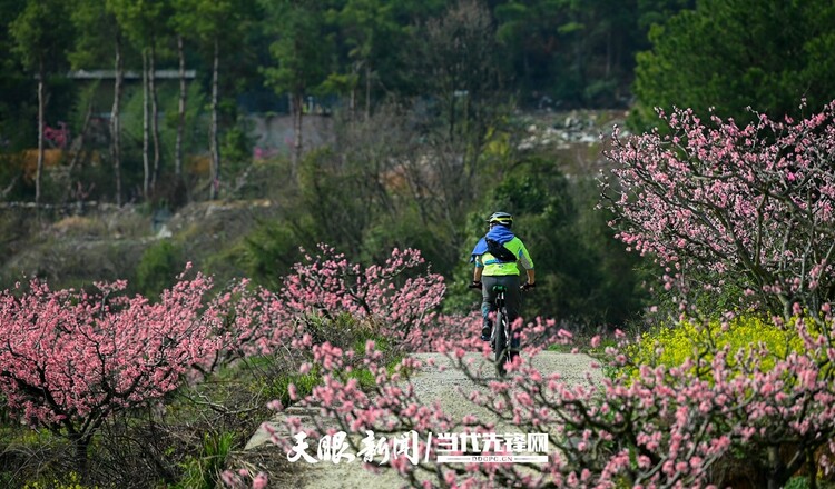 貴陽永樂：灼灼桃花笑春風_fororder_微信圖片_20230324082509