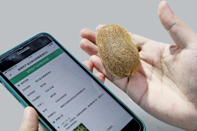貴陽貴安：數字化加持 激活實體經濟發展新動能 高偉