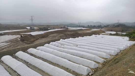 （供稿）貴州修文完成12000畝水稻全程機械化集中育苗_fororder_20230423161726-yGDlFP-20230423140623-PJjdHj-