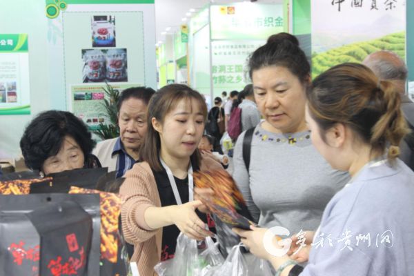 （社會）農交會爆款！貴州折耳根搖身一變成了休閒零食