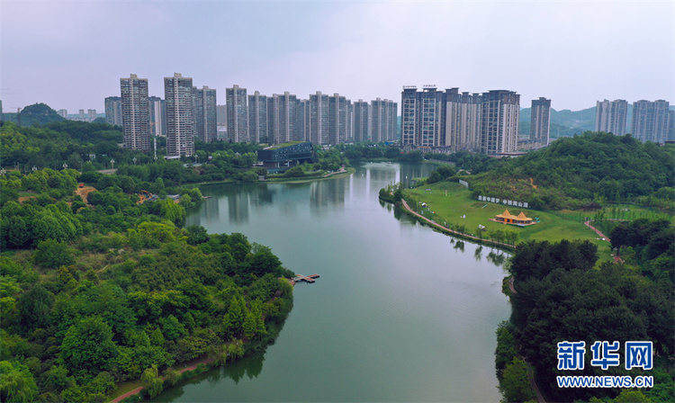 （中首）“快”看貴馬賽道