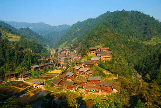 （供稿）貴州雷山：禿杉庭院“方寸地” 變身增收“致富園”_fororder_圖為格頭村全景