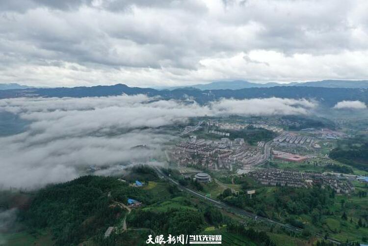（中首）貴州普安：萬畝茶山景色美茶旅融合譜新篇