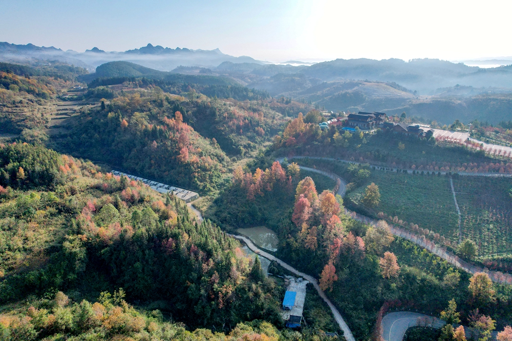 貴州施秉：初冬時節 景美如畫_fororder_2023年11月21日，貴州省黔東南苗族侗族自治州施秉縣雲臺山景區旅遊公路兩旁層林盡染,色彩斑斕，美若畫卷。（磨桂賓 攝） (2).JPG