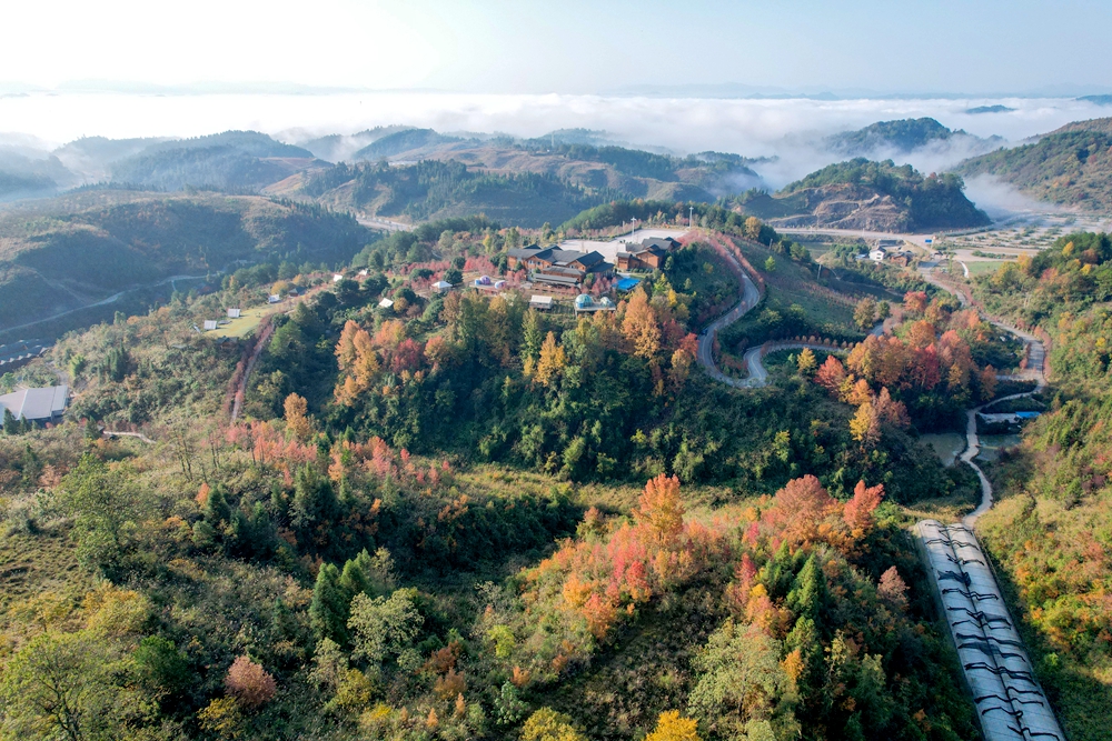 貴州施秉：初冬時節 景美如畫_fororder_2023年11月21日，貴州省黔東南苗族侗族自治州施秉縣雲臺山景區旅遊公路兩旁層林盡染,色彩斑斕，美若畫卷。（磨桂賓 攝）（8）.JPG