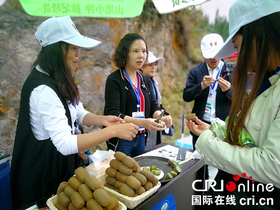 第五屆貴陽（修文）獼猴桃節暨修文縣第二屆鄉村旅遊發展大會舉行