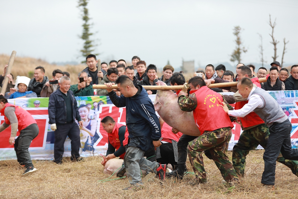 貴州惠水：集體過小年 逮豬樂翻天_fororder_2X7A0134.JPG