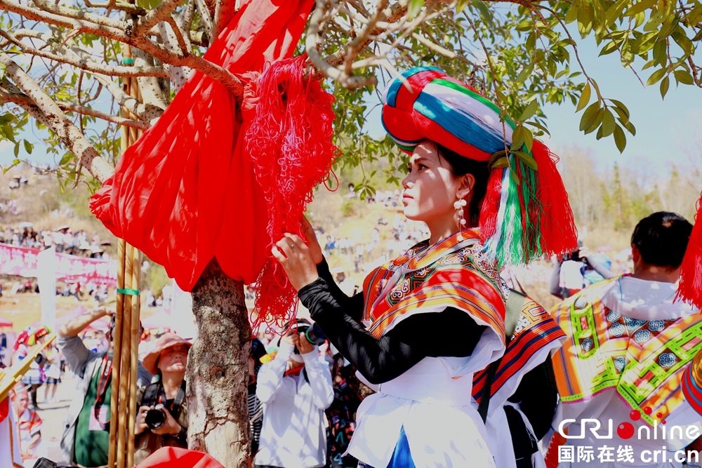 貴州鍾山：萬人齊聚跳花樹祭祖先_fororder_微信圖片_20240325164156