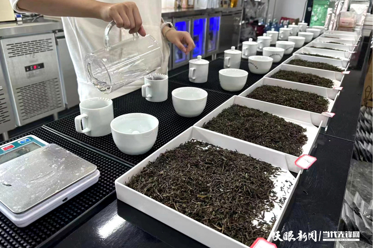 湄潭茶園：以草治草守護“乾淨茶”