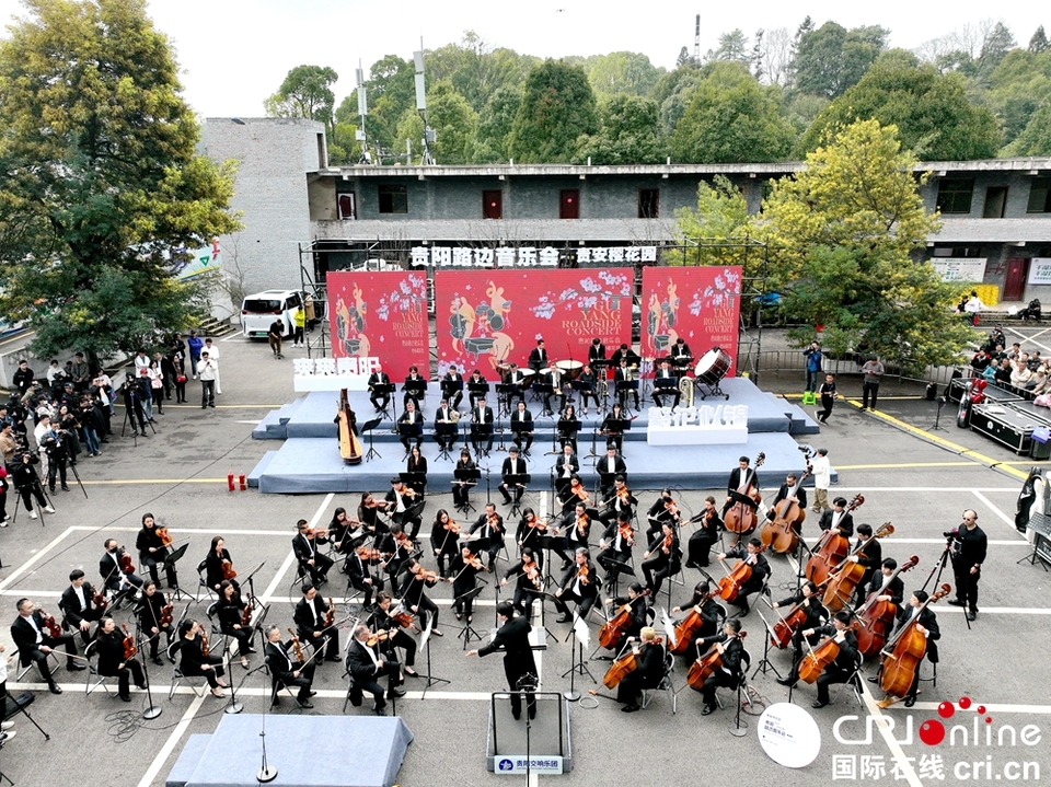 當櫻花與交響樂相遇 貴陽路邊音樂會·貴安櫻花園浪漫開唱_fororder_音樂會現場.JPG