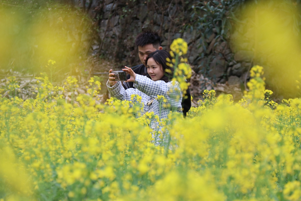 貴州雷山郎德苗寨：油菜花盛景催生“花經濟”_fororder_圖為遊客在旅拍2.JPG