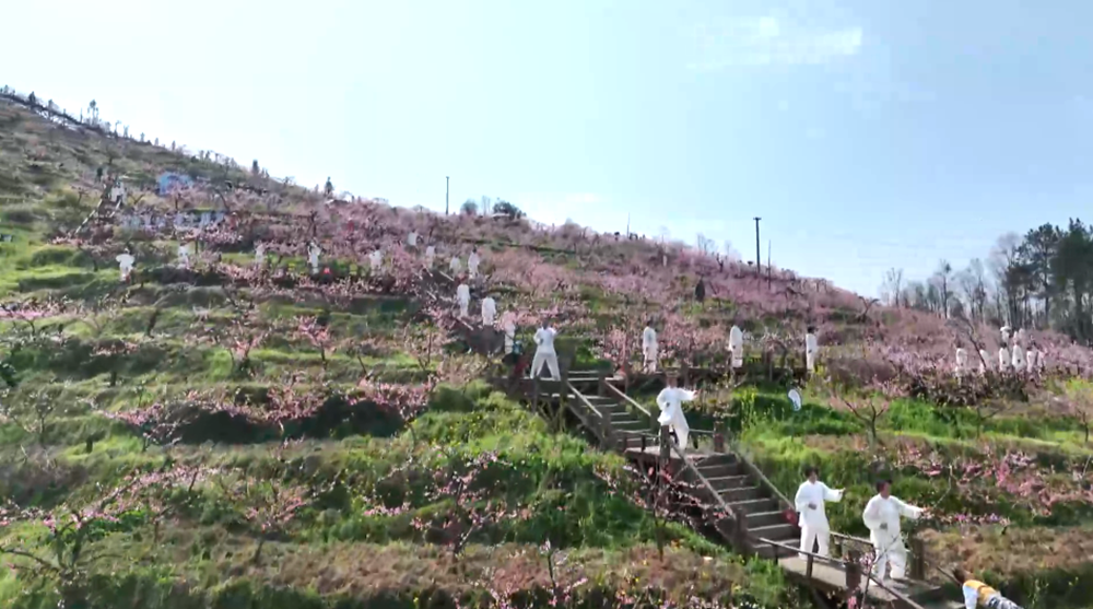 “以花為媒” 貴州黔東南邀你共赴春日之約_fororder_640