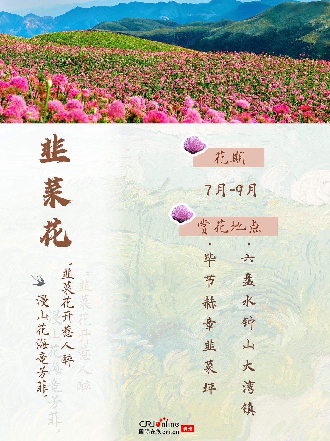 春夏到哪兒賞花？這份貴州賞花地圖帶你找找靈感_fororder_韭菜花23