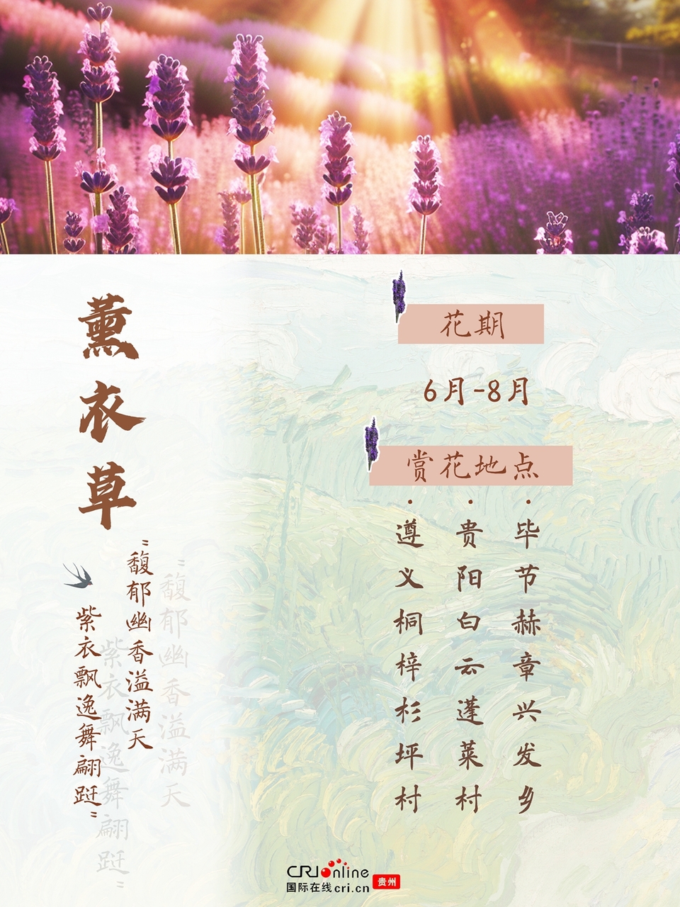 春夏到哪兒賞花？這份貴州賞花地圖帶你找找靈感_fororder_薰衣草