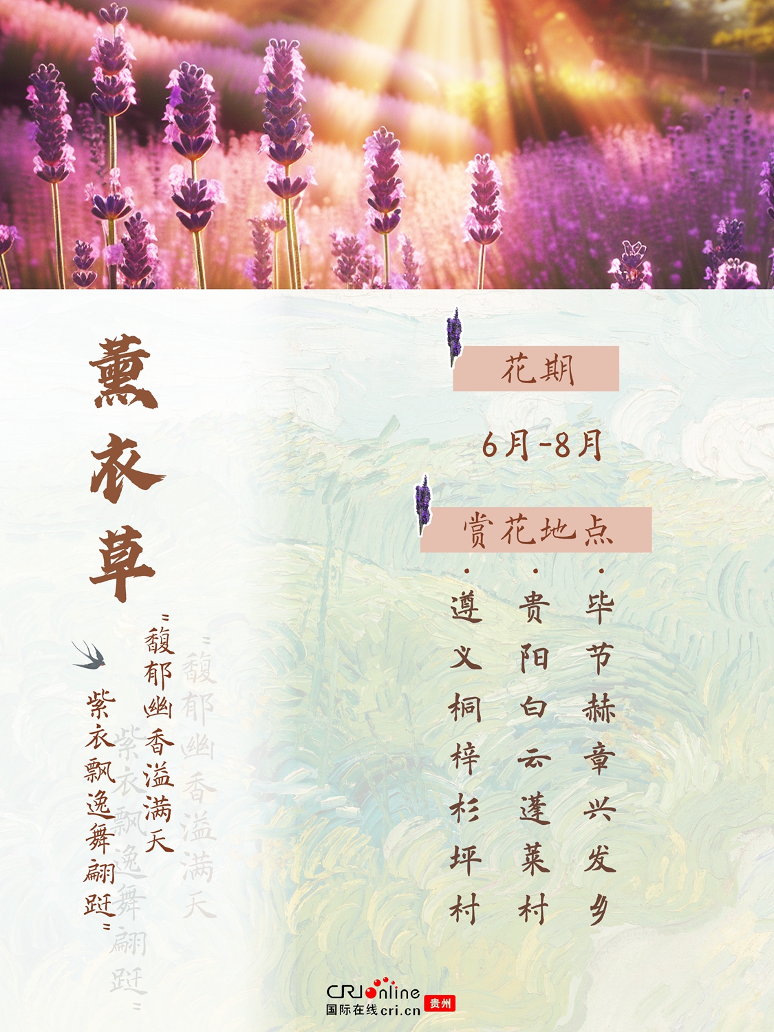 春夏到哪兒賞花？這份貴州賞花地圖帶你找找靈感_fororder_薰衣草