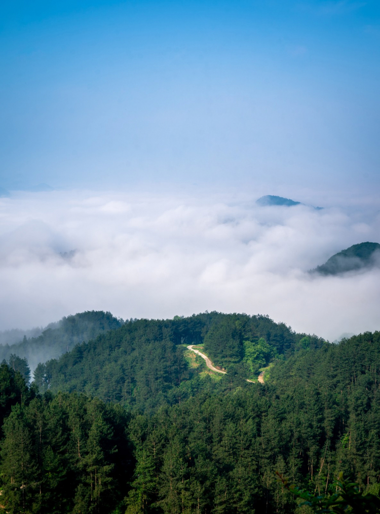 開陽高寨：山巒連天映雲海