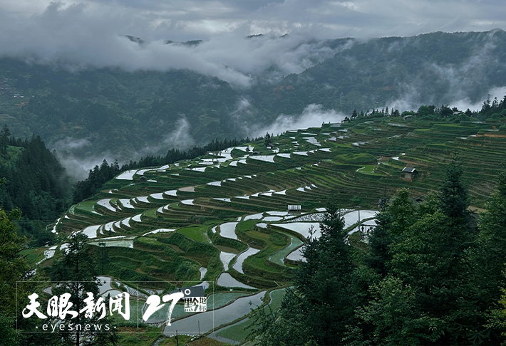 文化中國行｜加榜梯田打通農文旅盤活“試驗田”