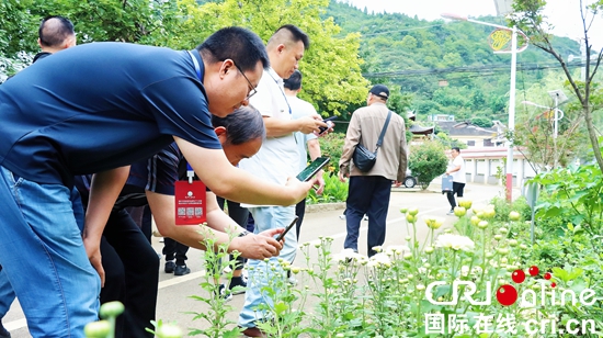 貴州省2024年中藥材産業發展推進大會在安順關嶺舉行_fororder_嘉賓用手機記錄中藥材