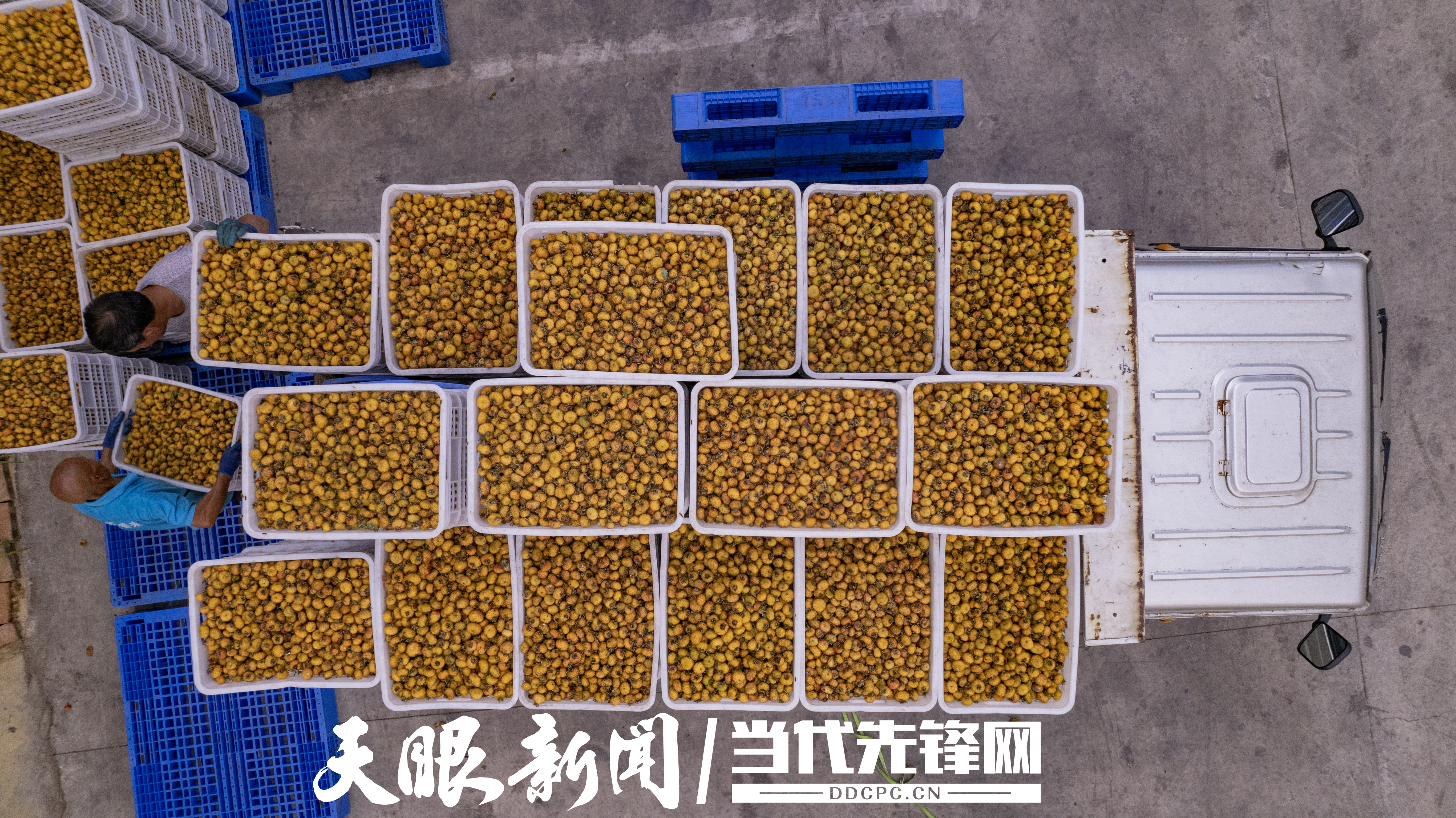 貴州：加快培育特色食品加工業 寫好土特産文章 “舌尖”産業有滋味