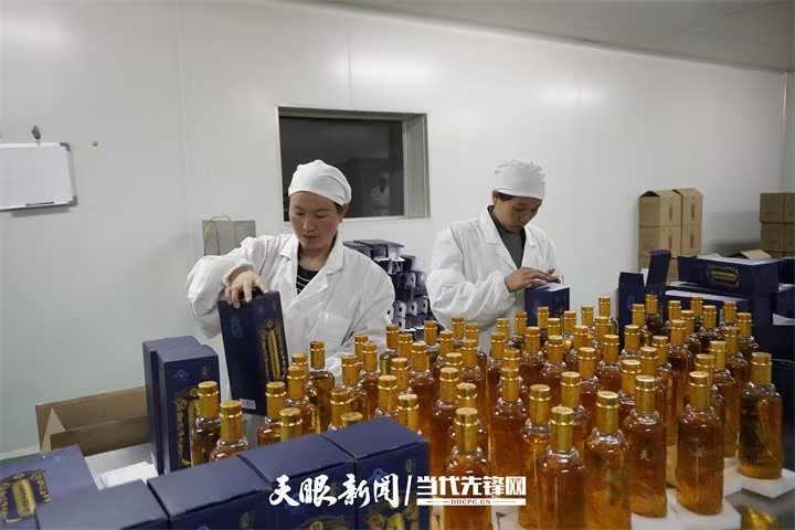 貴州：加快培育特色食品加工業 寫好土特産文章 “舌尖”産業有滋味