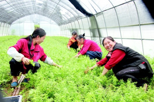 （要聞）孫志剛：貴州世代貧困的宿命正在被徹底改變