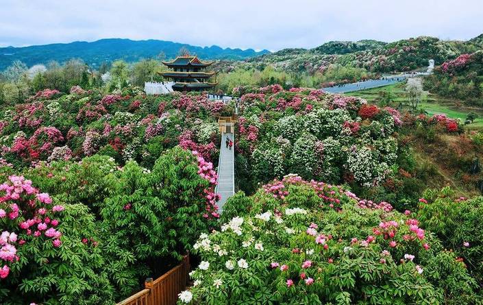 （旅遊）美國《國家地理》“2020年最佳旅行清單”，貴州為中國唯一入選地區
