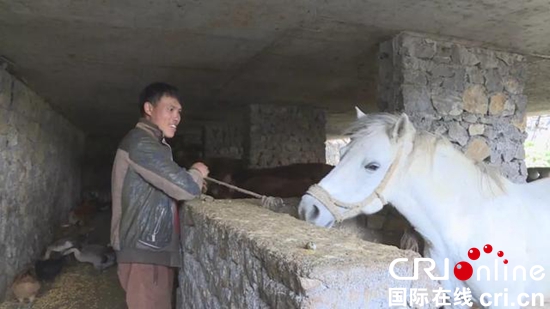 貴州關嶺：追求幸福生活的道路上 郭珍學夫妻同心拔窮根