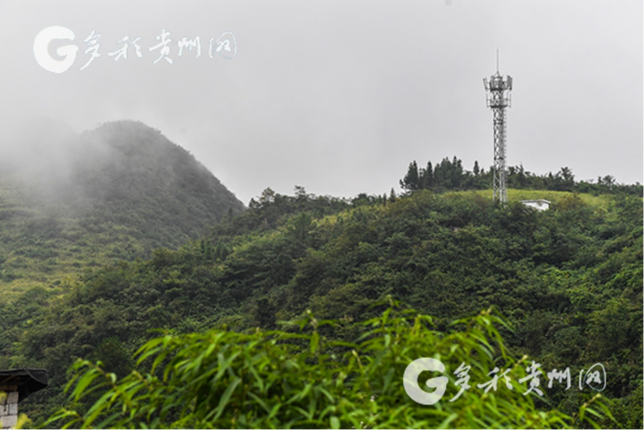 （大扶貧、客戶端貴州、移動版）“文軍扶貧”在行動 多彩貴州網幫扶桐梓動真情動真格