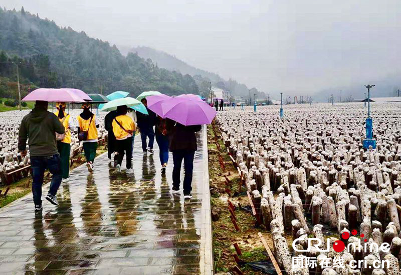 貴州銅仁德江推進鄉村旅遊“以旅促農”（組圖）