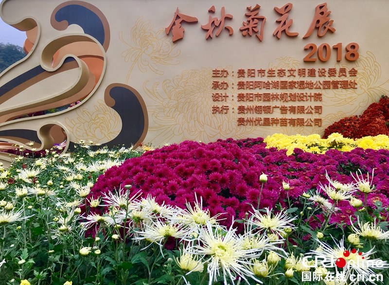 （已過審、焦點圖、市州 貴陽、移動版輪播圖、客戶端貴州輪播圖）2018貴陽阿哈湖濕地公園大型菊花展點亮林城秋色（組圖）