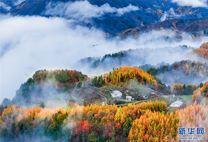 驚艷！神農架“紅坪畫廊”現雲霧美景