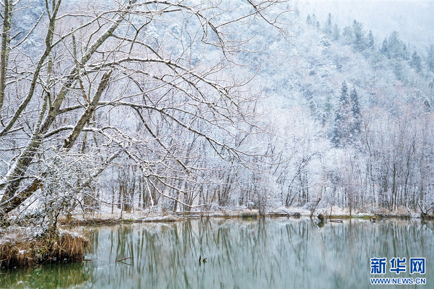 湖北鶴峰：雪落河畔 初春詩箋_fororder_微信圖片_20250221092835