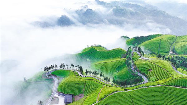 湖北鶴峰走馬鎮給綠水青山“明碼標價”