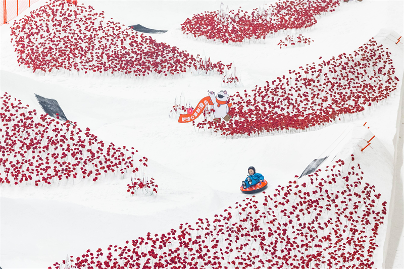 武漢甘露山滑雪場百米雪圈道鋪滿萬朵紅花 紅紅火火迎新春