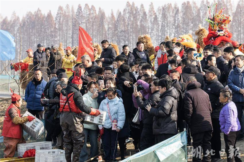 潛江小龍蝦搶“鮮”上市！