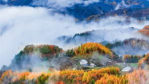 驚艷！神農架“紅坪畫廊”現雲霧美景