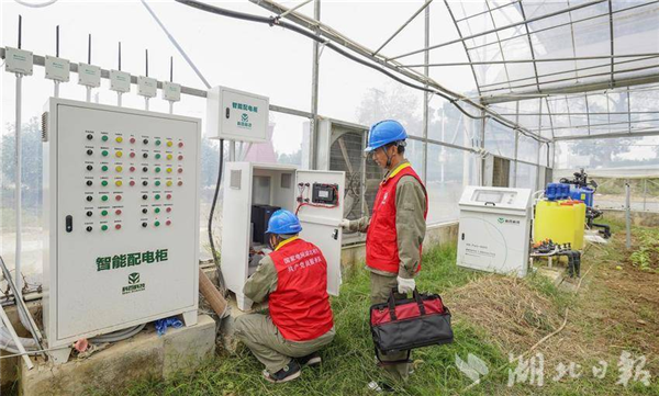 以可靠供電護航智慧冬播 武漢供電用心“電”亮秋冬農業生産