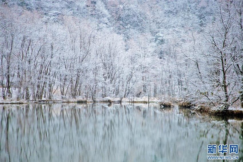 湖北鶴峰：雪落河畔 初春詩箋_fororder_微信圖片_20250221092806