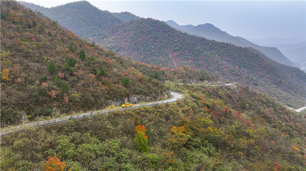 湖北荊門：“電力+生態”攜手強化線下山火防控