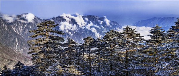 湖北神農架冬季旅遊産品發佈會在武漢舉行