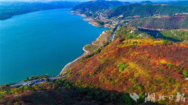 湖北十堰：南水北調水源區紅葉映山村