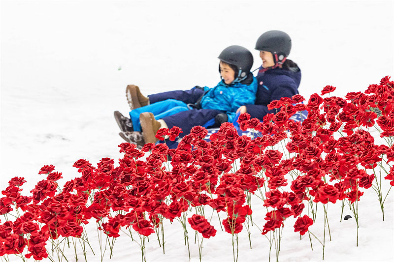 武漢甘露山滑雪場百米雪圈道鋪滿萬朵紅花 紅紅火火迎新春