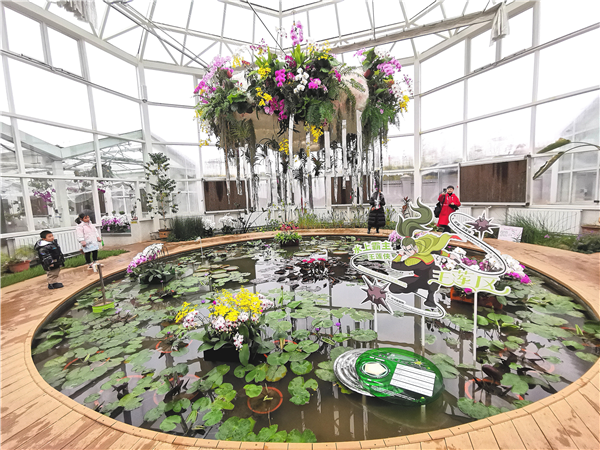 “好巳花升”繪蘭圖 武漢植物園花漾年味迎新春