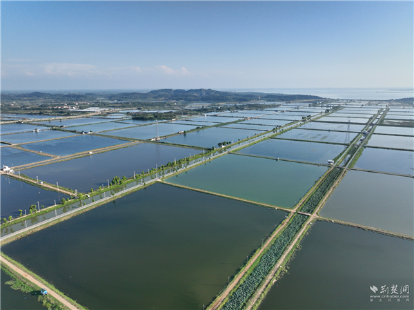 武漢：調研流域綜合治理“江夏智慧” 共賞河湖碧水清波