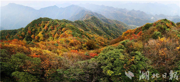 湖北7地為中國生物圈保護區網絡成員_fororder_微信圖片_20250225093546